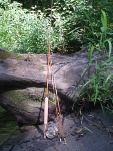 Rods Leaning Against a Tree