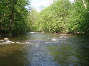 Pequest River Image
