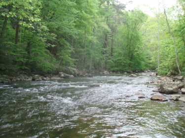 Wild Trout In NJ - Ben Turpin – Custom Rod Building and Guide Service