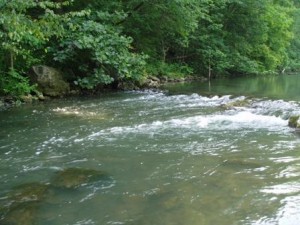Spring Creek Image 3
