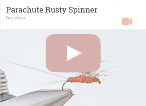 Rusty Spinner