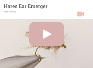 Ear Emerger
